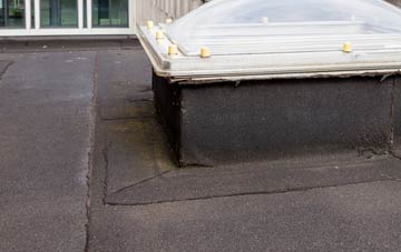 disadvantages of Rubha Ghaisinis flat roofs